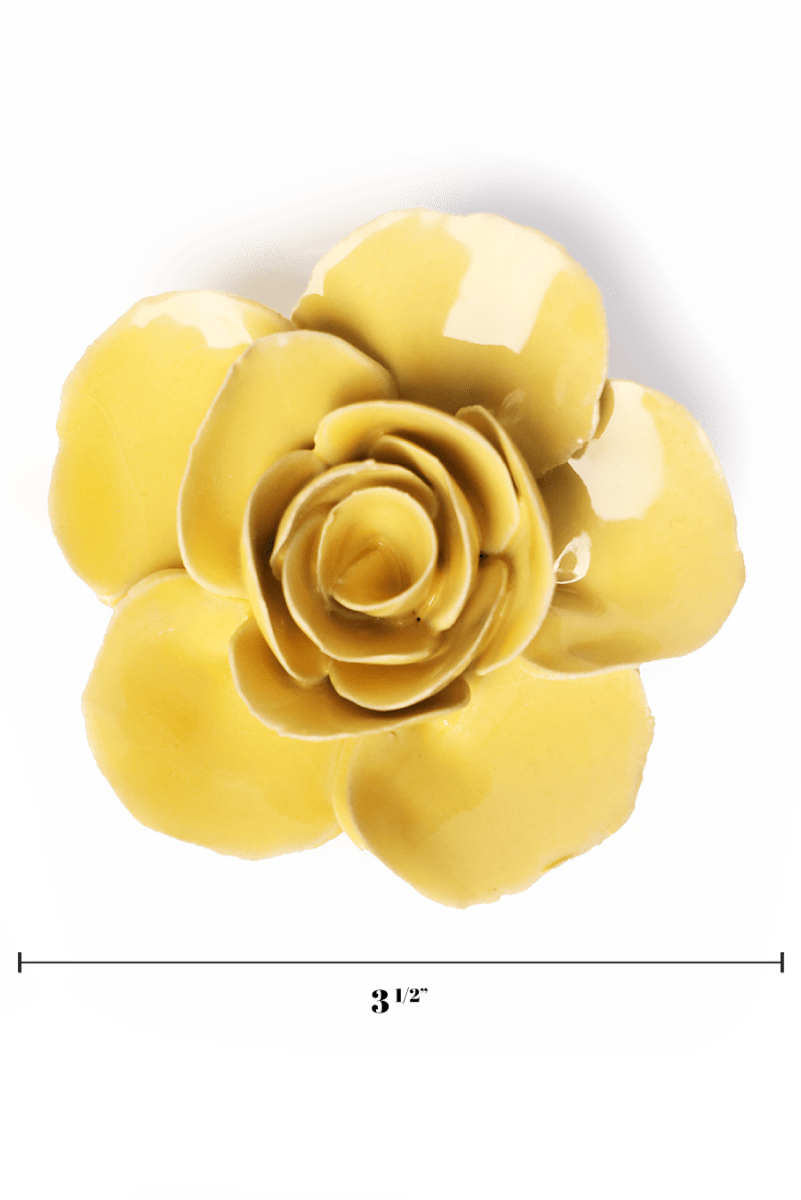 EG42 Buttercup Yellow Elegance Ranunculus - Chive US Wholesale