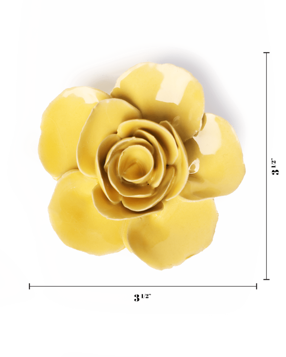 EG42 Buttercup Yellow Elegance Ranunculus - Chive US Wholesale