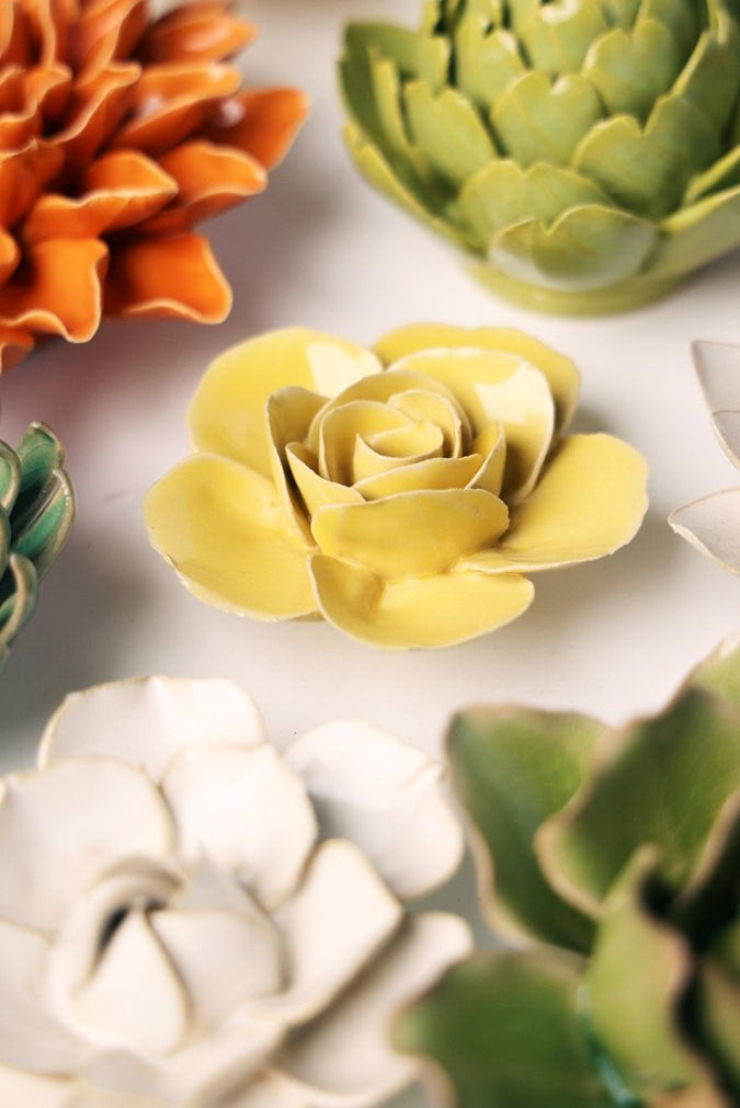 EG42 Buttercup Yellow Elegance Ranunculus - Chive US Wholesale