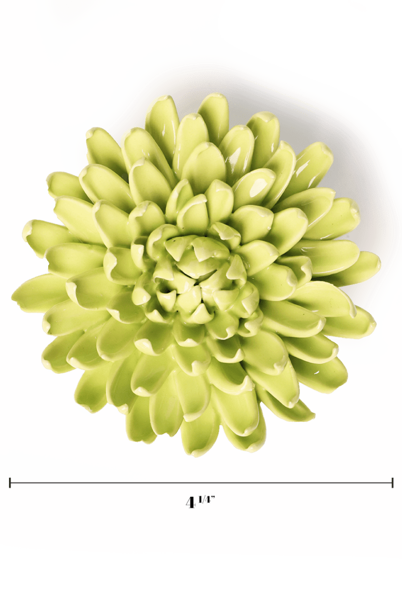 EG43 Yellow Green Pompom Mum - Chive US Wholesale