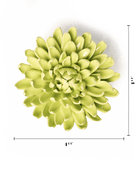 EG43 Yellow Green Pompom Mum - Chive US Wholesale