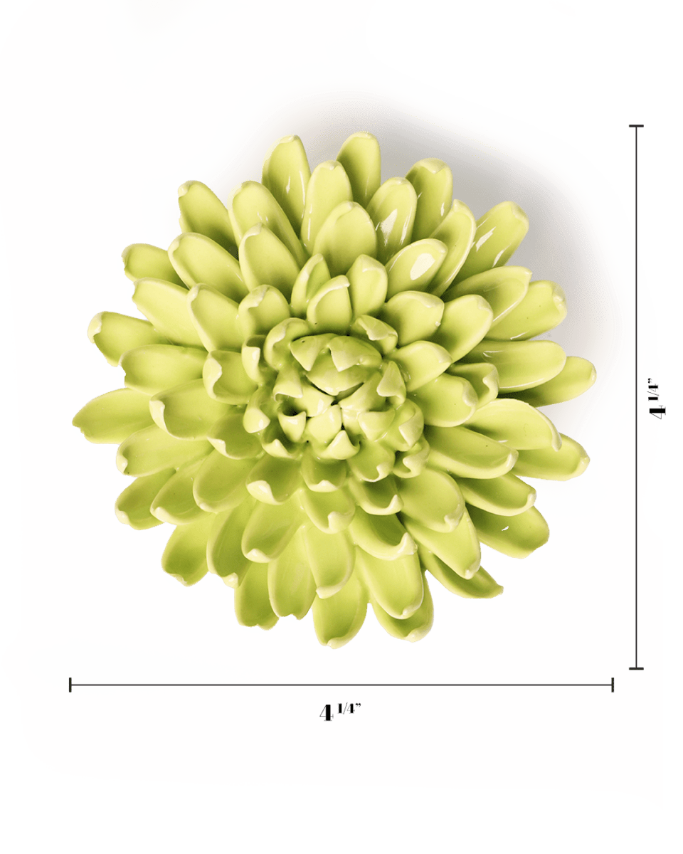 EG43 Yellow Green Pompom Mum - Chive US Wholesale