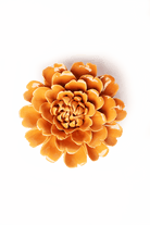 Ceramic Flower English Garden Curated Collection 22 - Chive US Wholesale