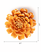 October Birth Flower - Marigold - Chive US Wholesale