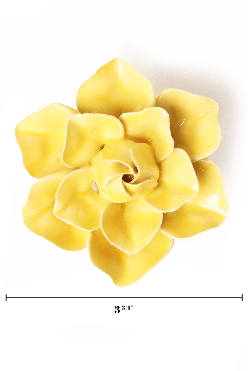 EG45 Buttercup Yellow Daffodil - Chive US Wholesale