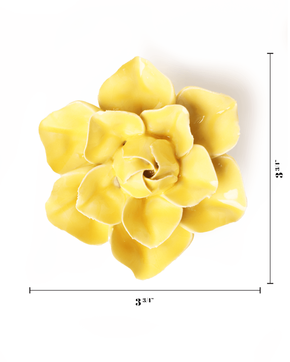 EG45 Buttercup Yellow Daffodil - Chive US Wholesale