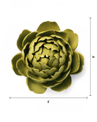 EG46 Chartreuse Queen Protea - Chive US Wholesale