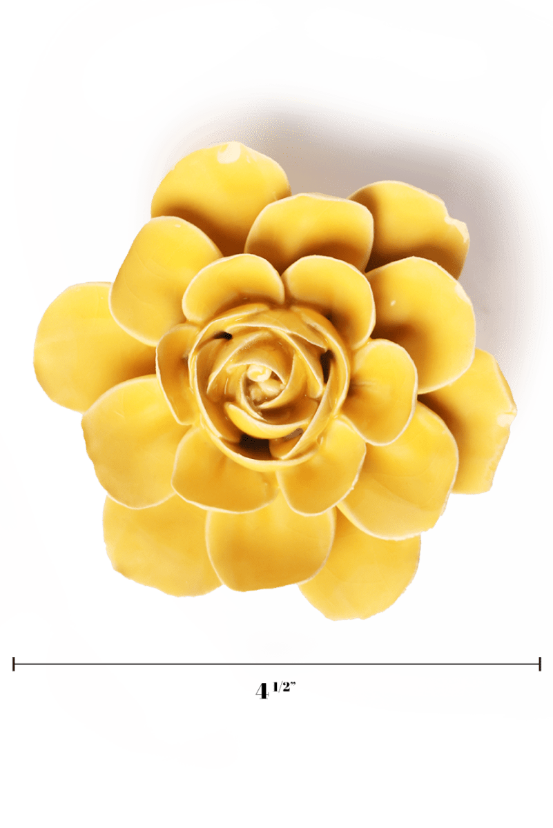 EG47 Burnt Yellow Begonia - Chive US Wholesale