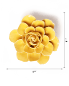 EG47 Burnt Yellow Begonia - Chive US Wholesale