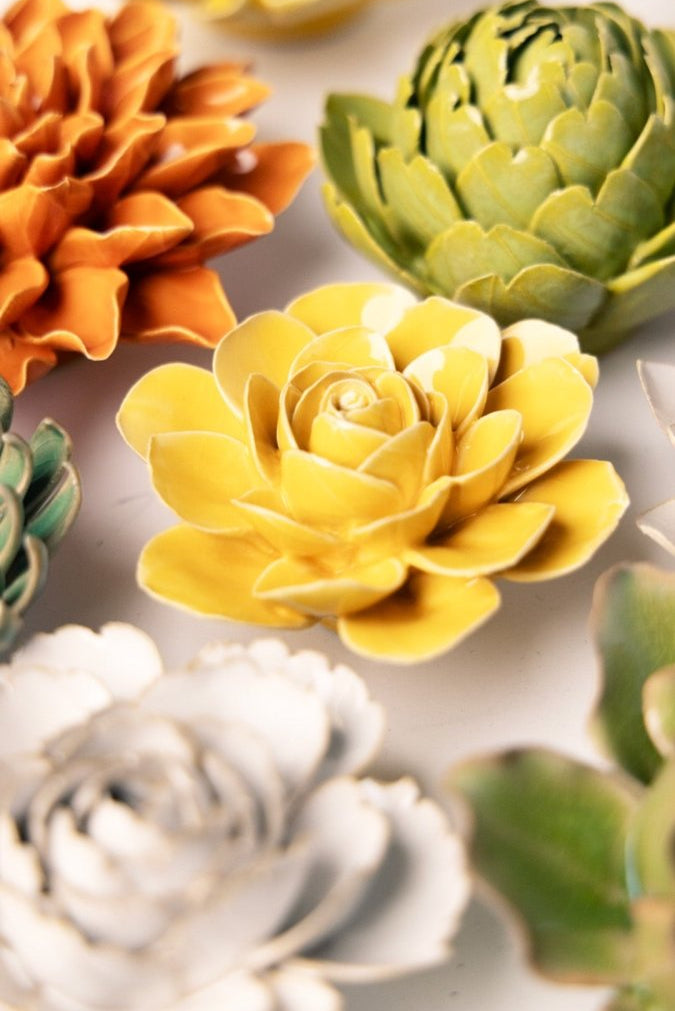 EG47 Burnt Yellow Begonia - Chive US Wholesale