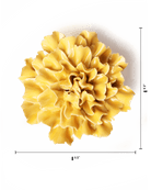 EG48 Burnt Yellow Tundra Carnation - Chive US Wholesale