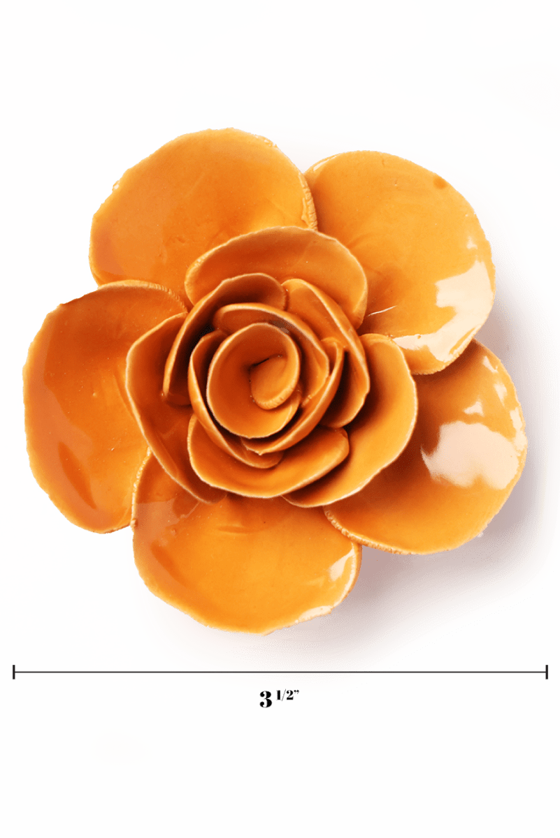 EG49 Orange Elegance Ranunculus - Chive US Wholesale