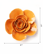 EG49 Orange Elegance Ranunculus - Chive US Wholesale