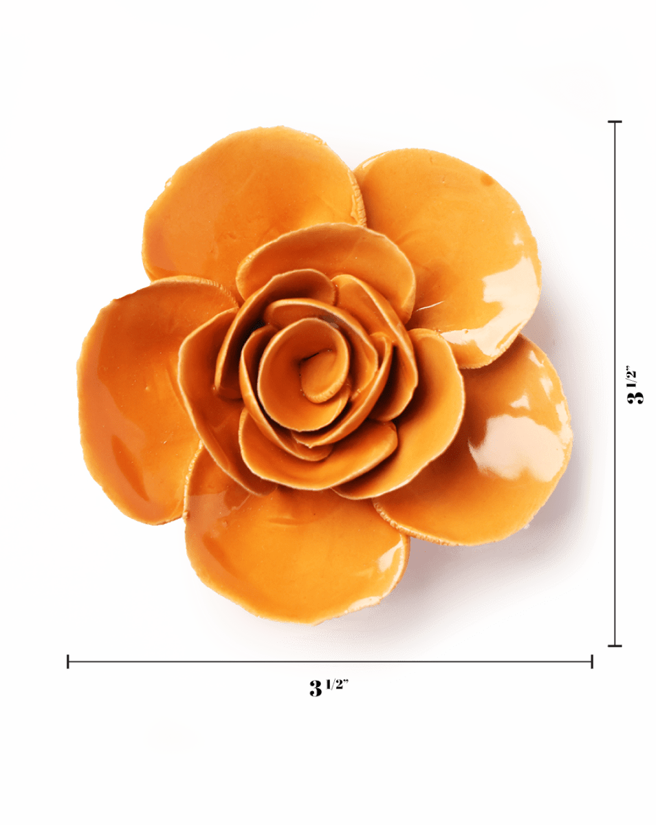 EG49 Orange Elegance Ranunculus - Chive US Wholesale