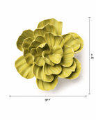 EG50 Chartreuse Primrose - Chive US Wholesale