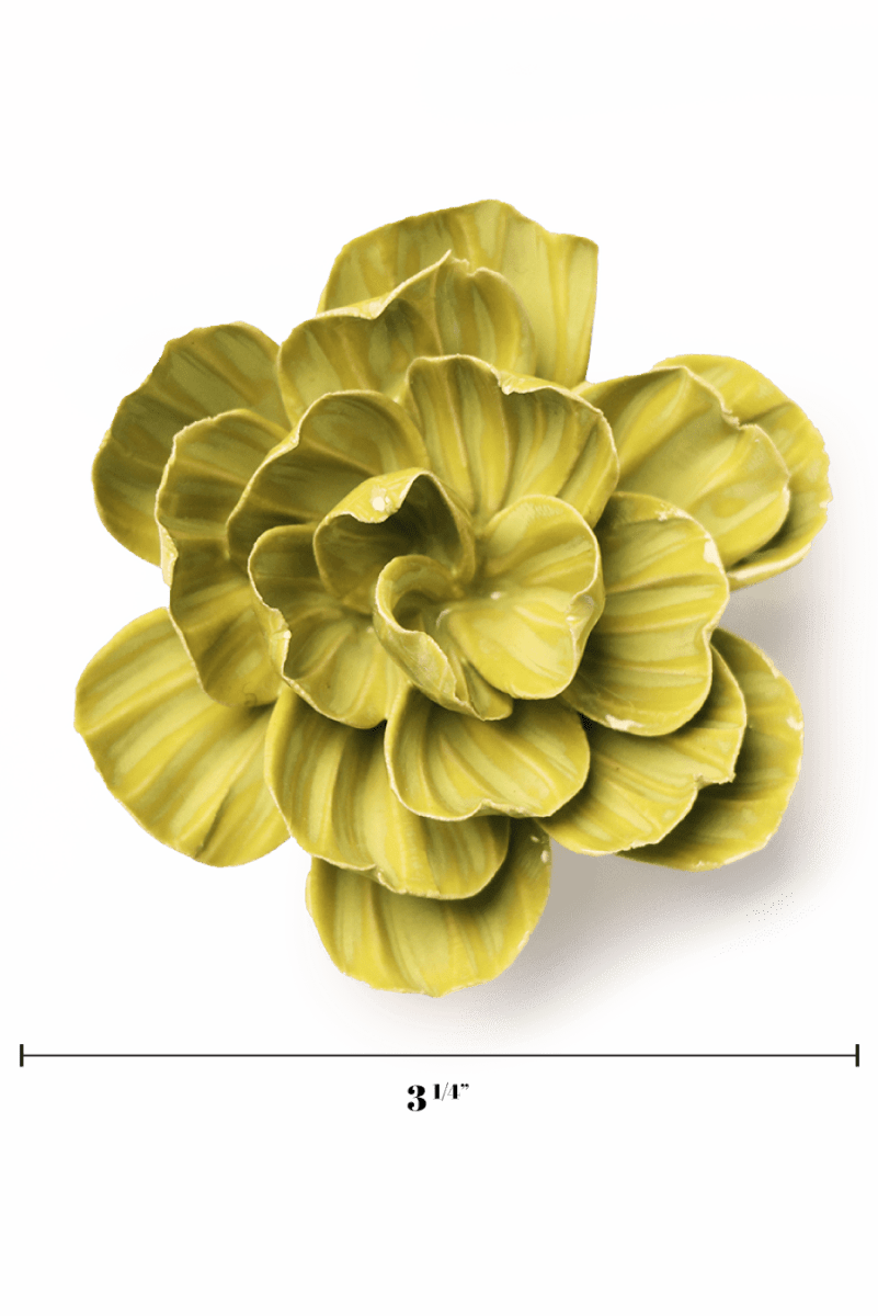 February Birth Flower - Primrose - Chive US Wholesale