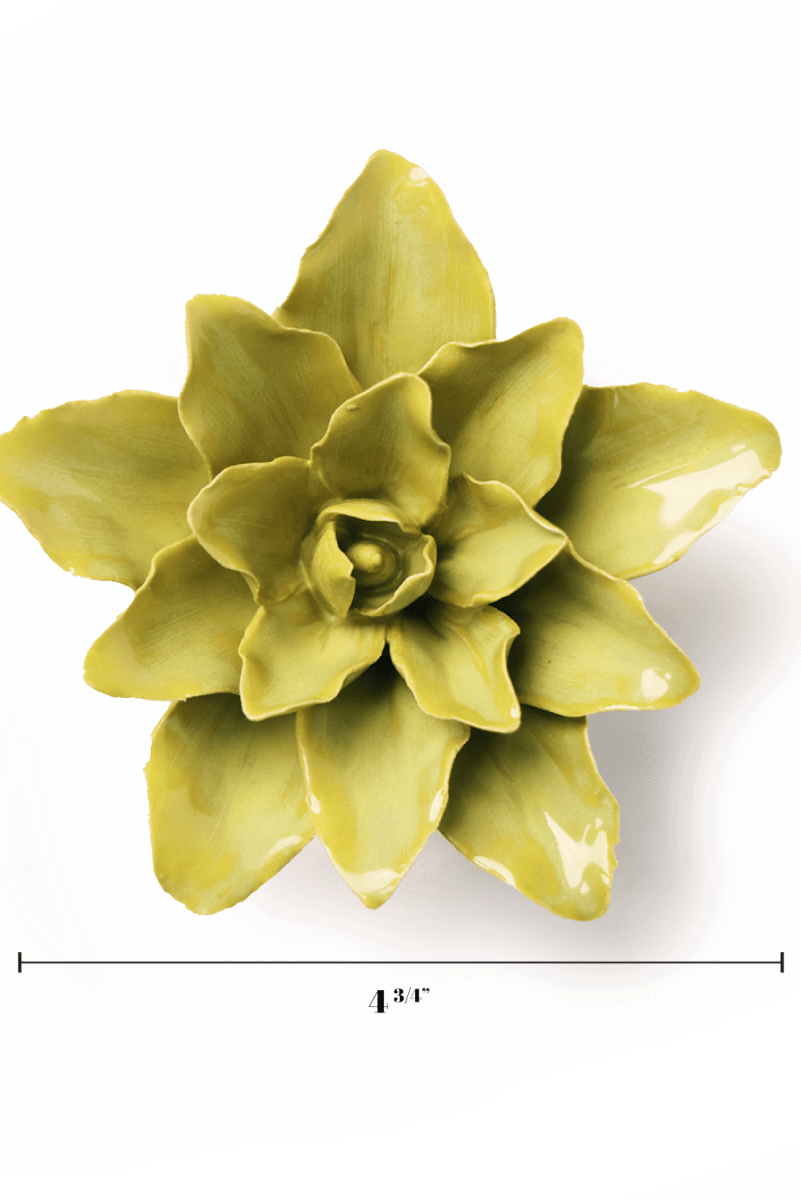 EG51 Chartreuse Tiger Lily - Chive US Wholesale