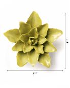 EG51 Chartreuse Tiger Lily - Chive US Wholesale