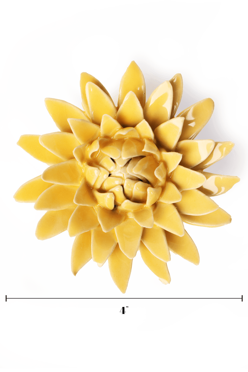 EG53 Burnt Yellow Strawflower - Chive US Wholesale