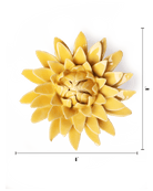 EG53 Burnt Yellow Strawflower - Chive US Wholesale