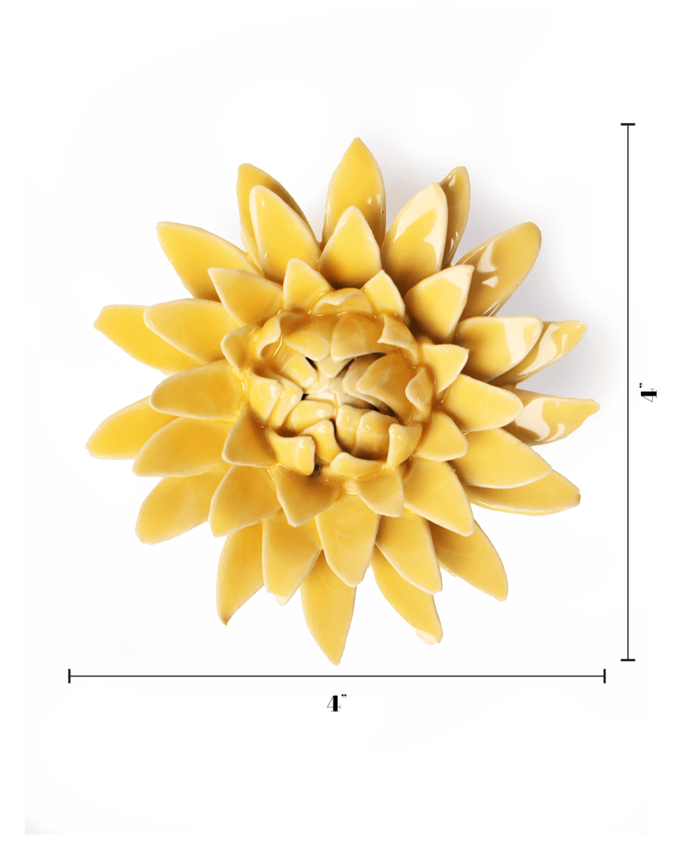 EG53 Burnt Yellow Strawflower - Chive US Wholesale