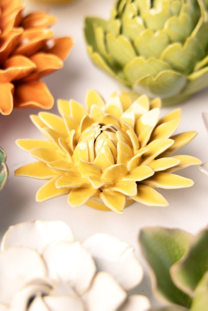 EG53 Burnt Yellow Strawflower - Chive US Wholesale