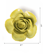 EG54 Chartreuse Elegance Ranunculus - Chive US Wholesale