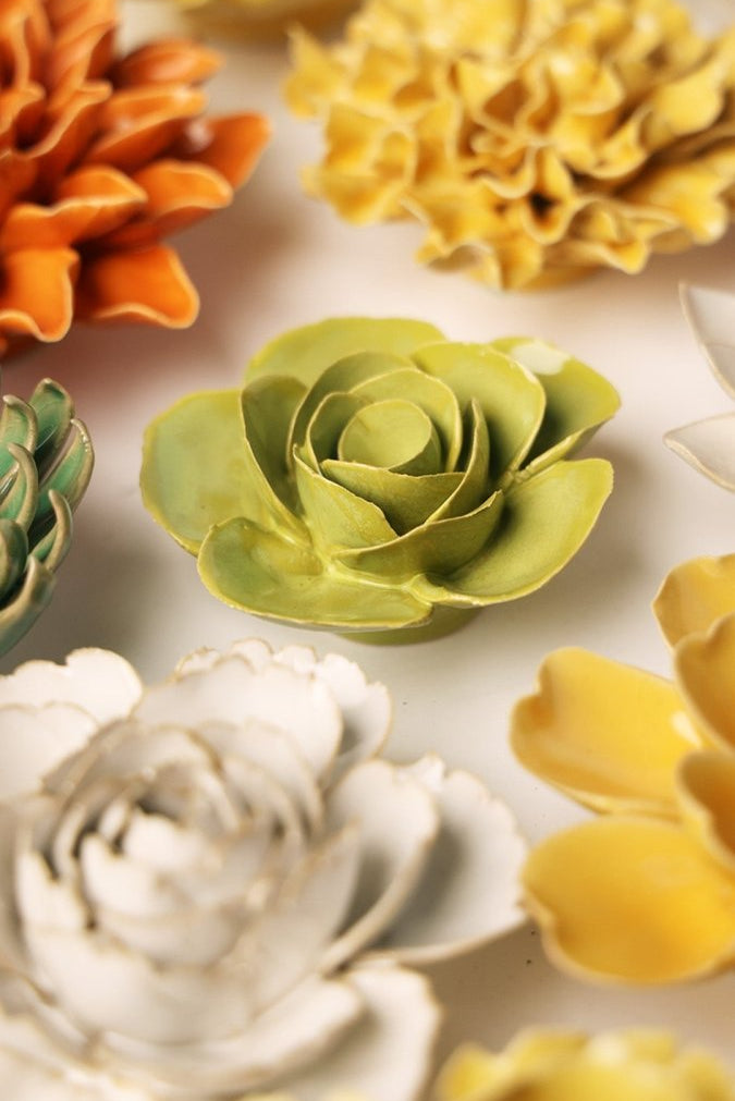 EG54 Chartreuse Elegance Ranunculus - Chive US Wholesale