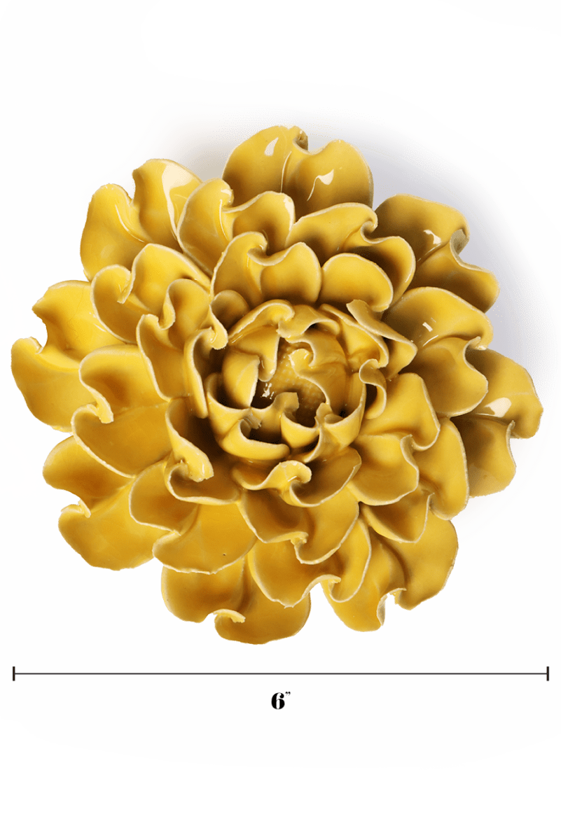 EG55 Buttercup Yellow Hawthorn - Chive US Wholesale