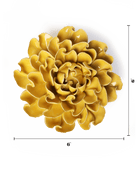 EG55 Buttercup Yellow Hawthorn - Chive US Wholesale