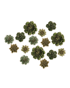 Ceramic Flower English Garden Curated Collection 2 - Chive US Wholesale