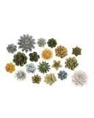 English Garden Curated Collection 1 - Chive US Wholesale