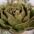 Ceramic Flower English Garden Curated Collection #1 - Chive US Wholesale