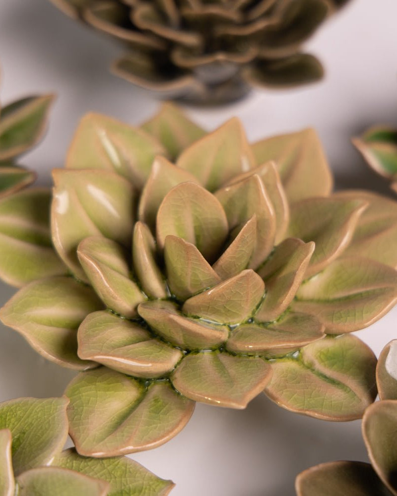 Ceramic Flower English Garden Curated Collection #15 - Chive US Wholesale