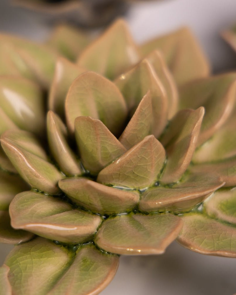 Ceramic Flower English Garden Curated Collection #15 - Chive US Wholesale