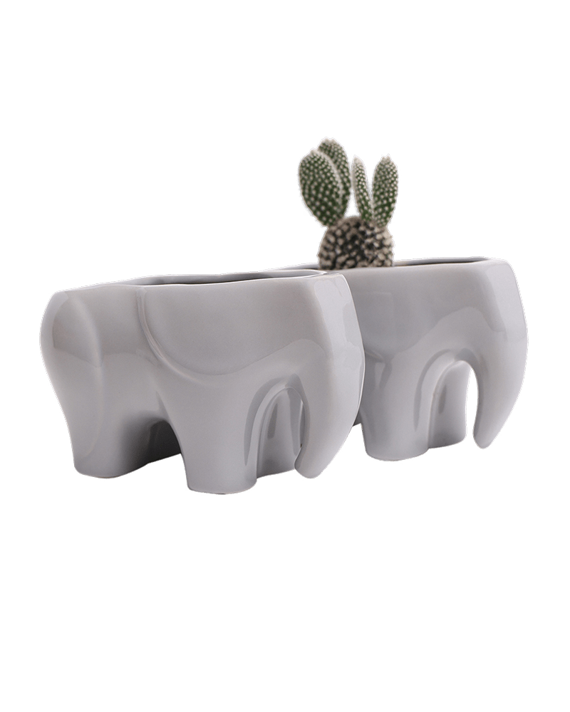 Elephant Ceramic Indoor Plant Pot For Succulents - Chive US Wholesale