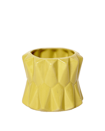 Fang Ceramic Modern Planter For Succulents - Chive US Wholesale