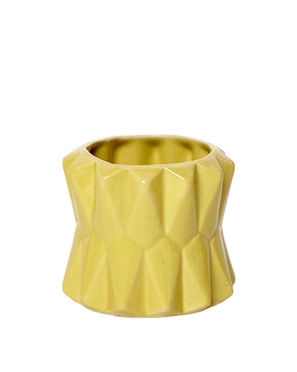 Fang Ceramic Modern Planter For Succulents - Chive US Wholesale