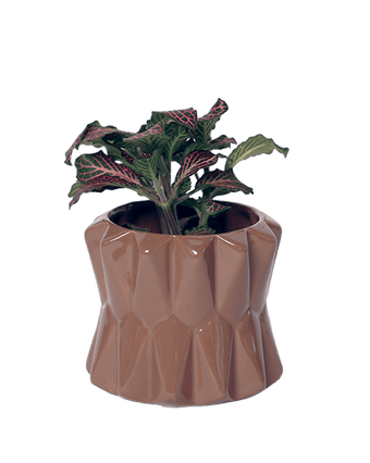 Fang Ceramic Modern Planter For Succulents - Chive US Wholesale