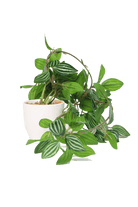 Trailing Plant Fake Lifelike Realistic Unkillable! - Chive US Wholesale