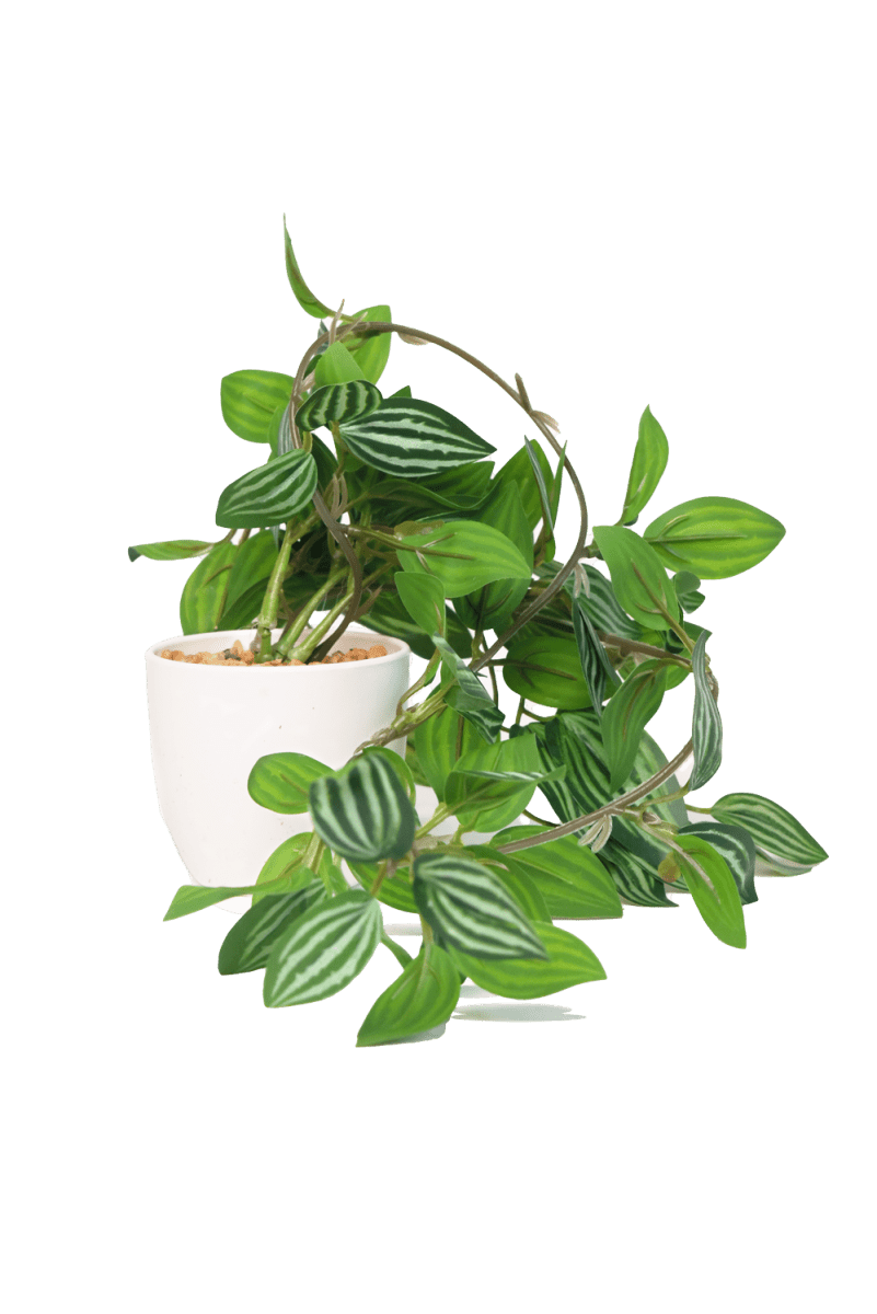 Trailing Plant Fake Lifelike Realistic Unkillable! - Chive US Wholesale