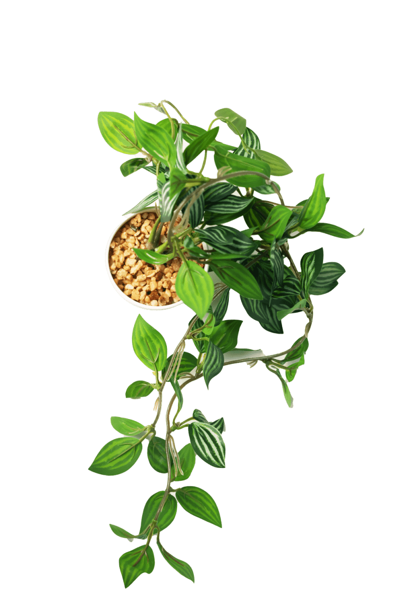 Trailing Plant Fake Lifelike Realistic Unkillable! - Chive US Wholesale
