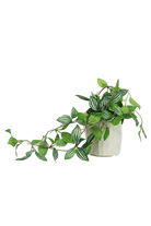 Trailing Plant Fake Lifelike Realistic Unkillable! - Chive US Wholesale