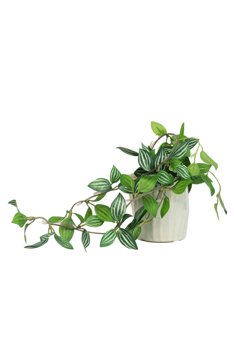 Trailing Plant Fake Lifelike Realistic Unkillable! - Chive US Wholesale