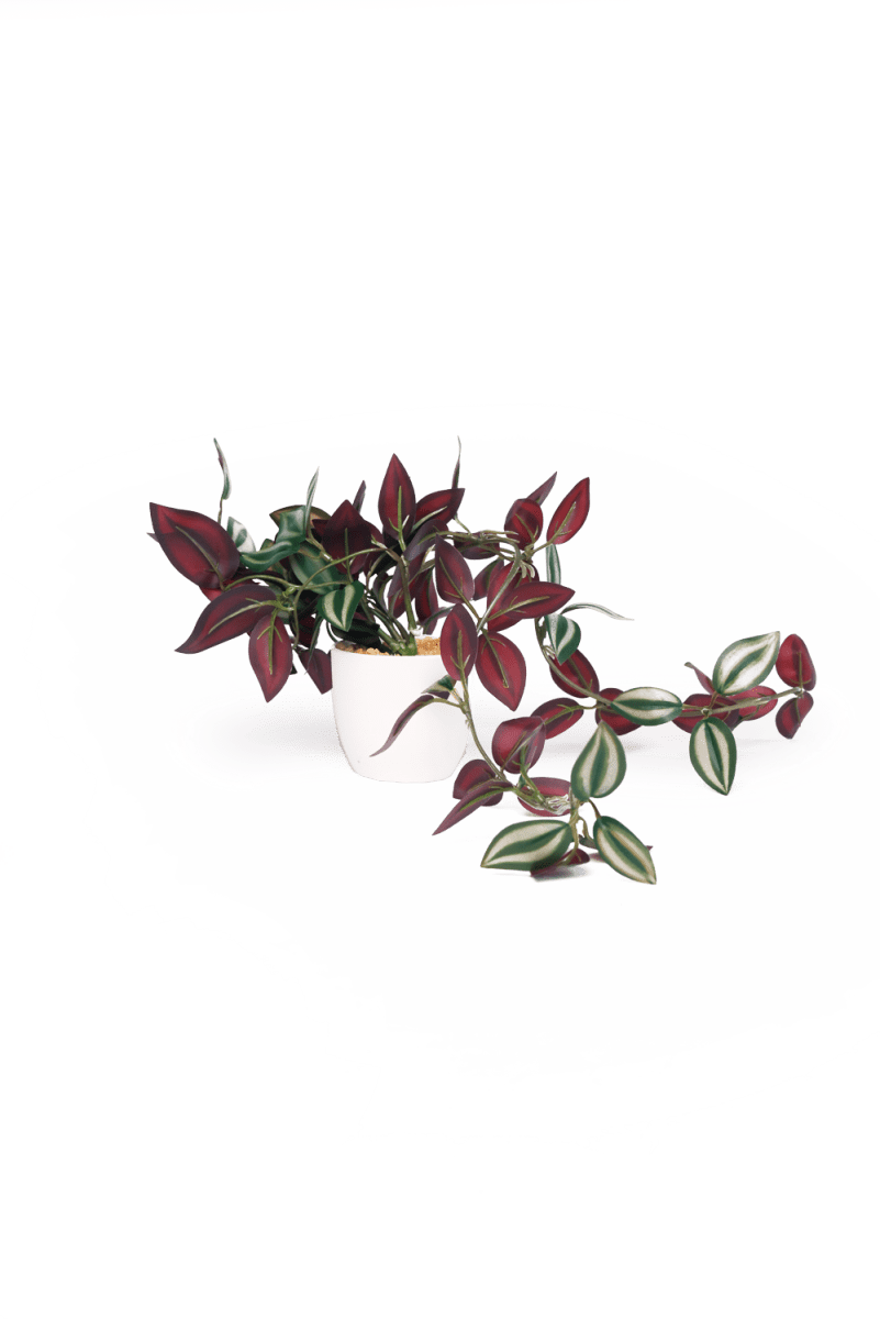 Trailing Plants Fake/ Artificial Kit - 36pc Assortment - Chive US Wholesale