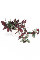 Trailing Plant Fake Lifelike Realistic Unkillable! - Chive US Wholesale