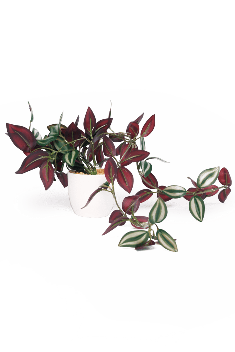 Trailing Plant Fake Lifelike Realistic Unkillable! - Chive US Wholesale