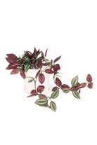 Trailing Plant Fake Lifelike Realistic Unkillable! - Chive US Wholesale