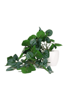 Trailing Plant Fake Lifelike Realistic Unkillable! - Chive US Wholesale