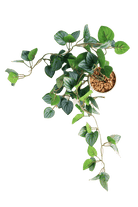 Trailing Plant Fake Lifelike Realistic Unkillable! - Chive US Wholesale